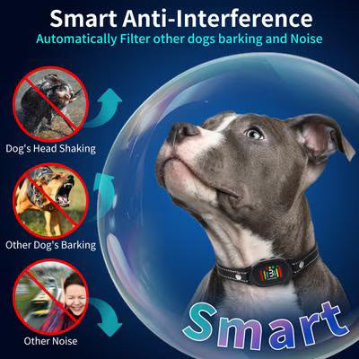 Electronic dog bark collar featuring static stimulation as an additional training option