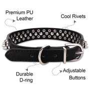 Studded dog collar on a dog

