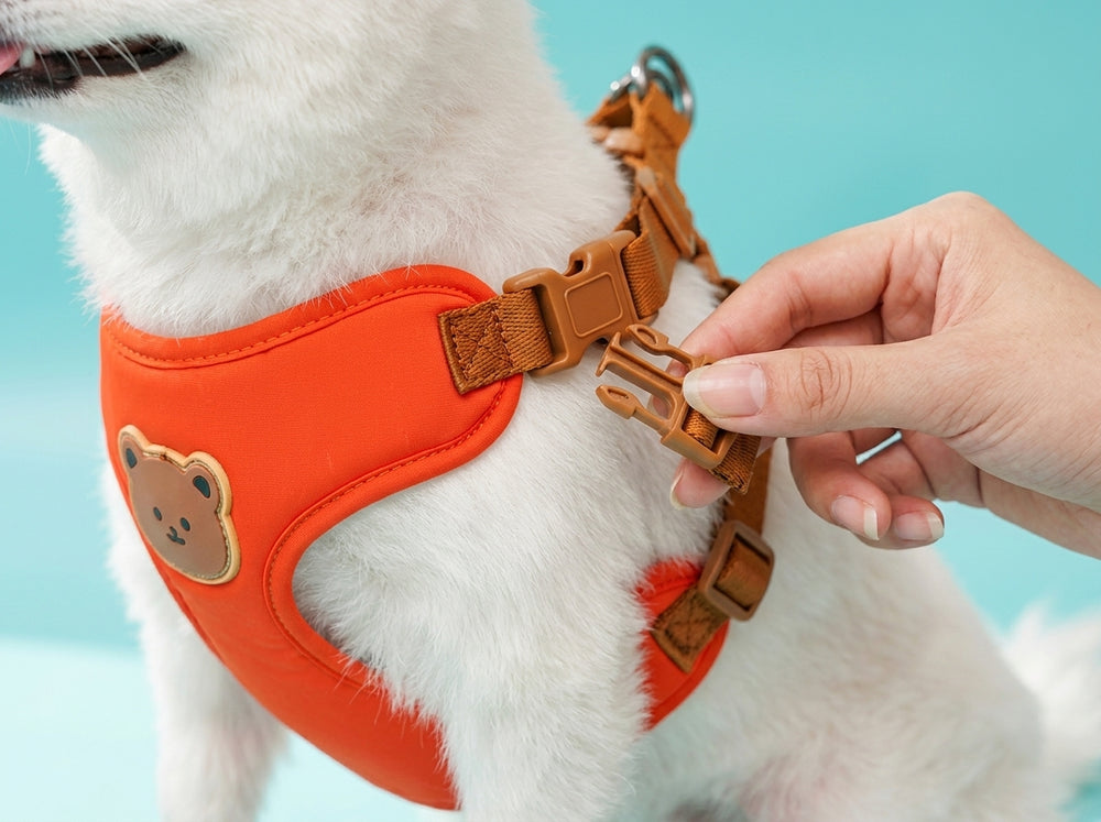 Fastening brown quick release buckle on orange bear dog harness