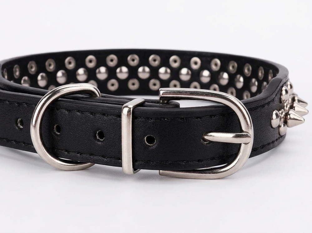 Silver buckle being fastened on a black studded and spiked dog collar