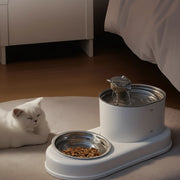 Filtered cat water dispenser for clean and convenient daily hydration