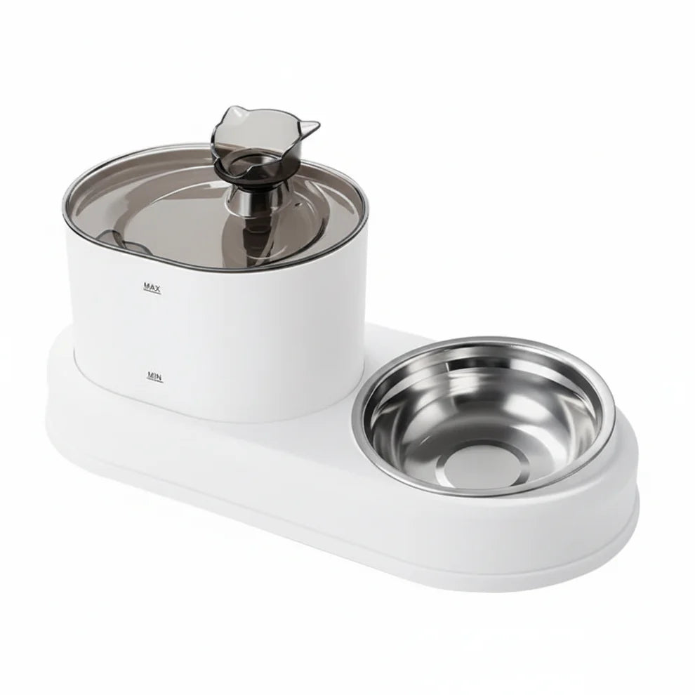 Filtered pet water fountain providing circulating drinking water for cats and dogs