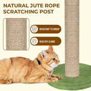 Decorative cactus cat scratcher for indoor home use