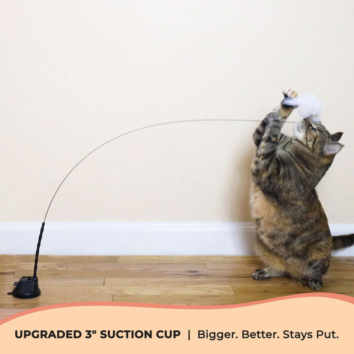 Feather bird teaser toy for cats