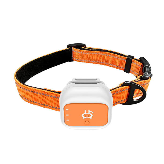 GPS Tracker for Dogs & Cats – Waterproof 4G Pet Locator Collar with Beidou Tracking