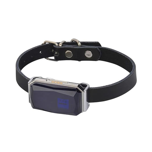 G12 GPS tracker for dog with smart collar and waterproof IP67 design
