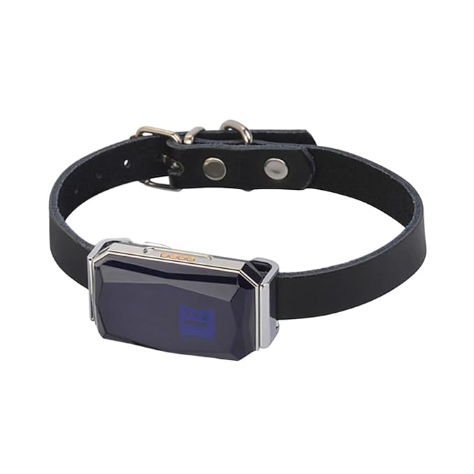 G12 GPS tracker for dog with smart collar and waterproof IP67 design