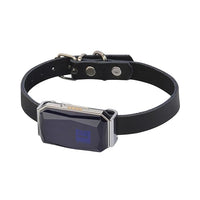 G12 GPS tracker for dog with smart collar and waterproof IP67 design