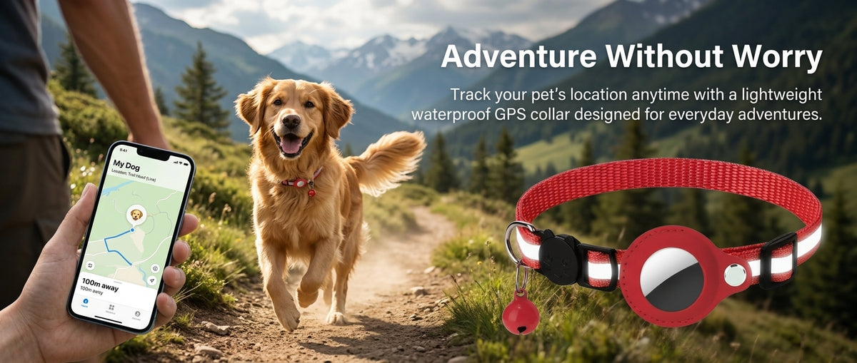 GPS tracker collar for dog outdoor adventure