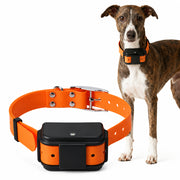 Dog GPS tracker collar designed for app-based pet location monitoring