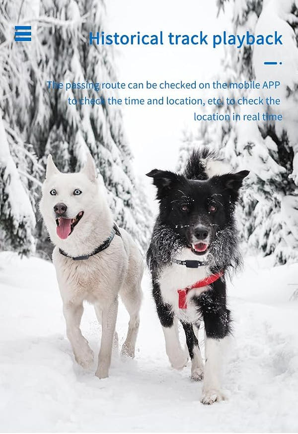GPS locator for dogs with waterproof design and real-time tracking