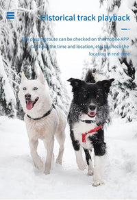 GPS locator for dogs with waterproof design and real-time tracking