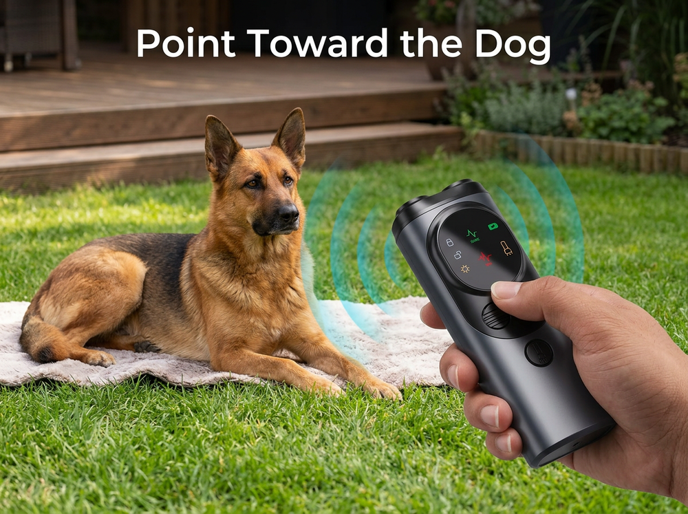 Owner pointing a handheld ultrasonic bark deterrent toward a dog during outdoor training.
