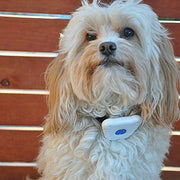 Safe ultrasonic dog barking deterrent designed to help reduce excessive and unwanted barking