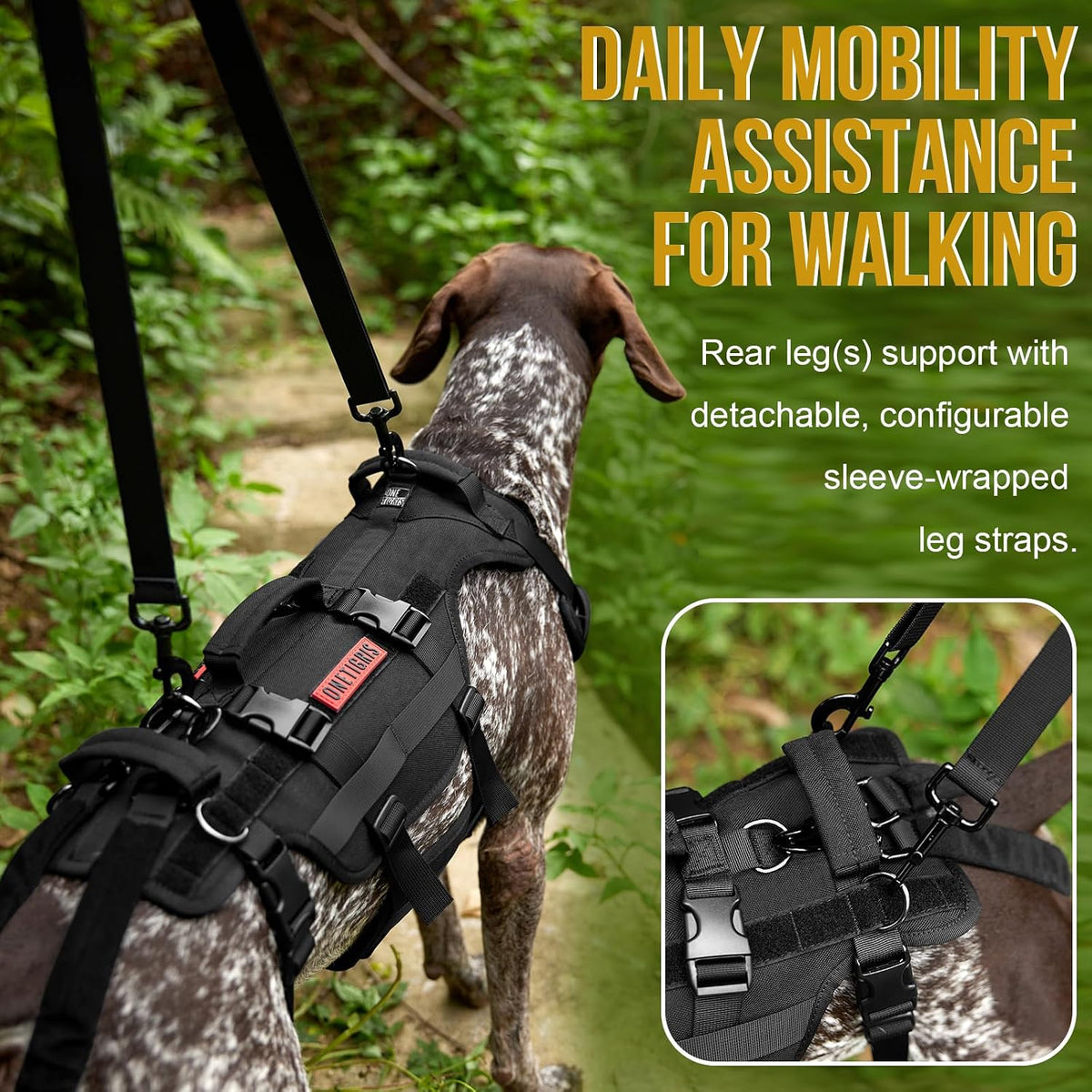 Mobility assistance harness for senior dogs needing walking support