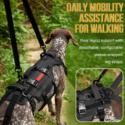 Mobility assistance harness for senior dogs needing walking support