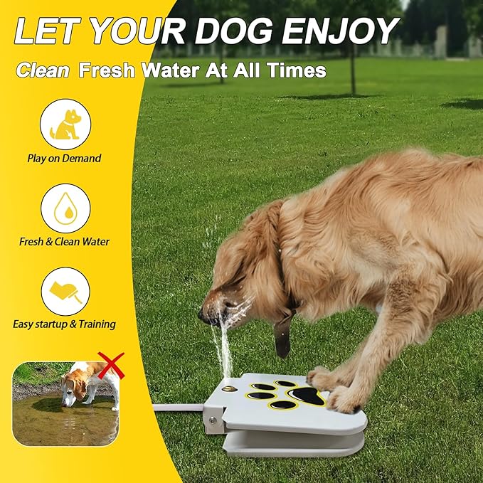 Hose connected dog fountain with metal connection fitting