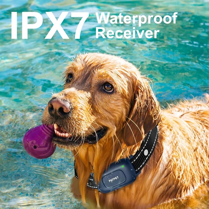 IPX7 waterproof dog training collar with rechargeable receiver
