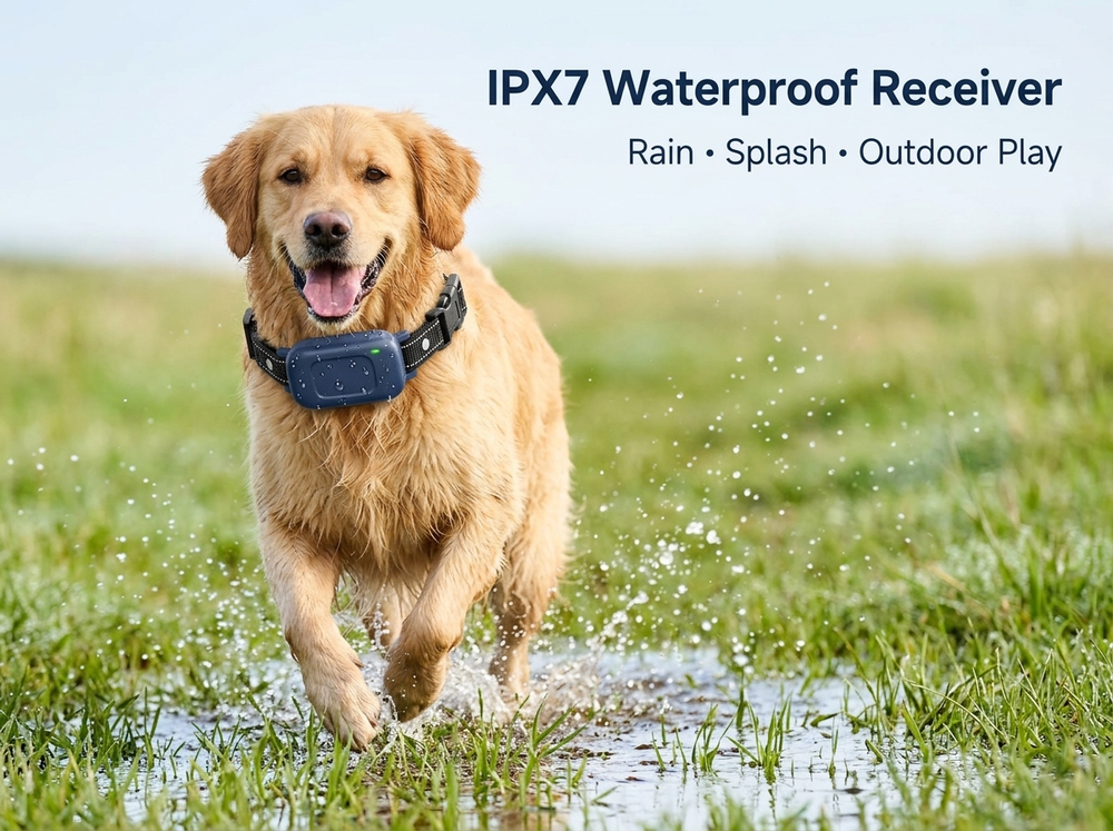 
Dog wearing an IPX7 waterproof navy blue training collar while playing around water.