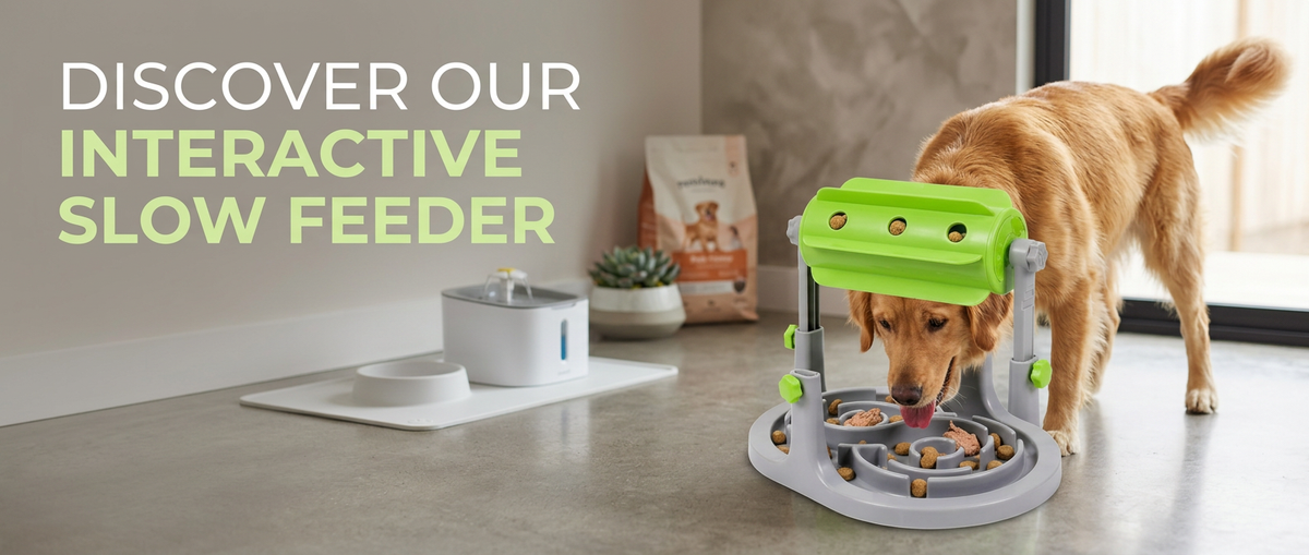 Interactive slow feeder dog bowl for healthy pet feeding