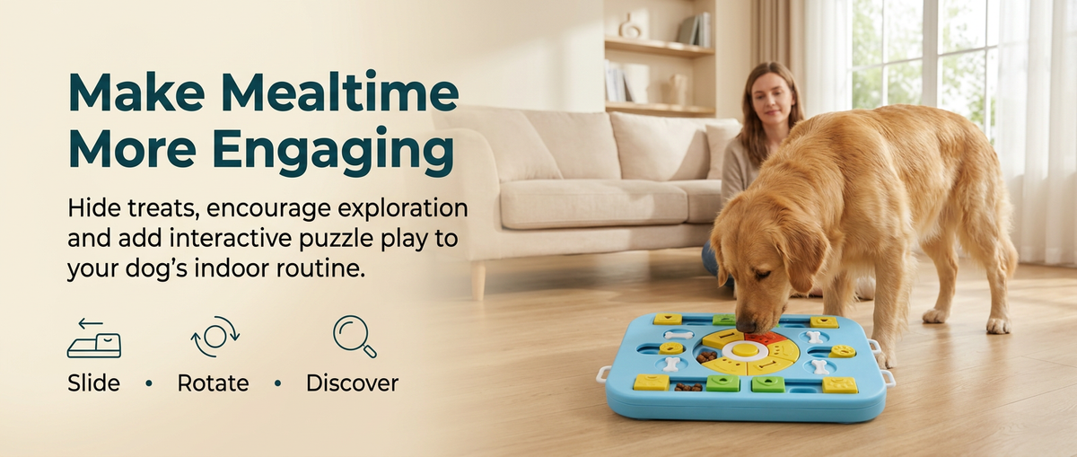 Golden retriever exploring a blue interactive dog puzzle slow feeder with hidden treats in a bright modern living room