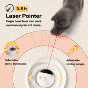 Interactive cat toy with feather wand and rolling chase functions for kittens