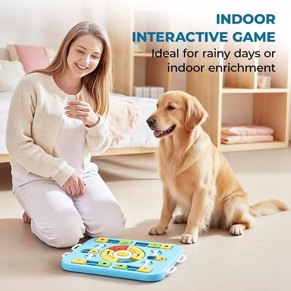 Interactive pet feeding bowl for dogs with puzzle design