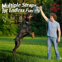 Interactive rubber dog toy with straps for owner and pet play