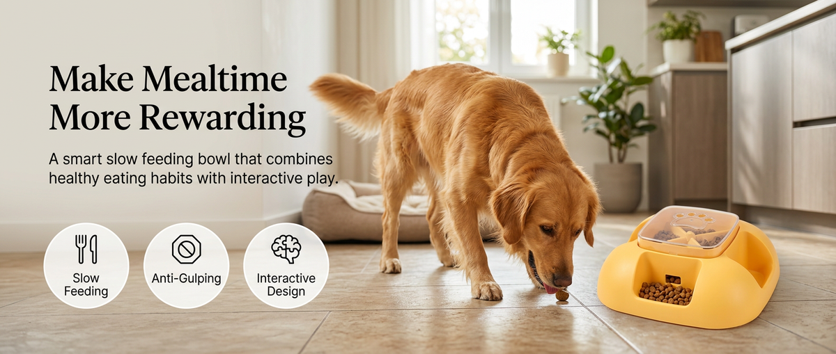 Interactive slow feeder bowl for dogs in modern home