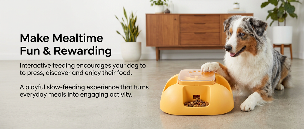 Dog using yellow interactive slow feeder bowl with food dispensing activity