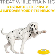 Interactive dog treat dispenser for reward-based training
