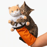 Interactive cat wrestling glove toy with arm sleeve for indoor cats