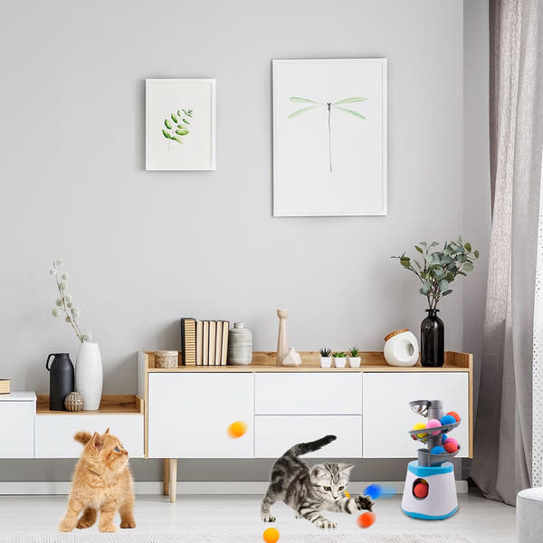 Automatic cat exercise toy designed to encourage chasing and active play