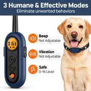 Remote dog training collar remote with keypad lock