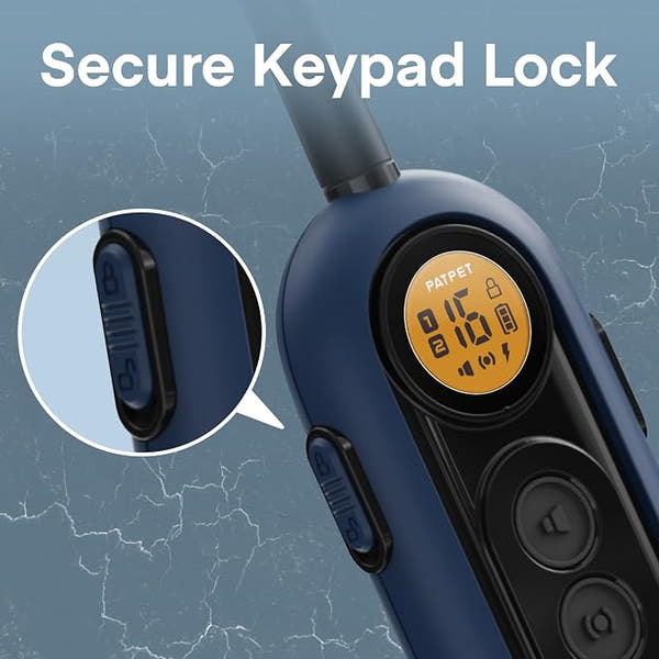 Dog training collar remote with keypad lock to help prevent accidental operation