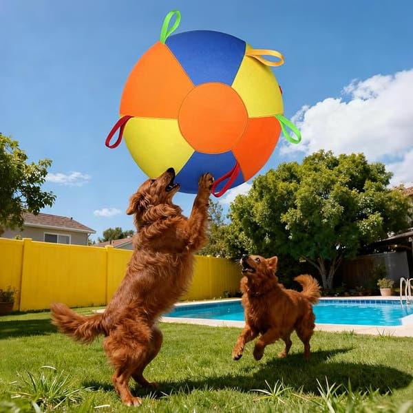Large dog ball with handles for active outdoor play