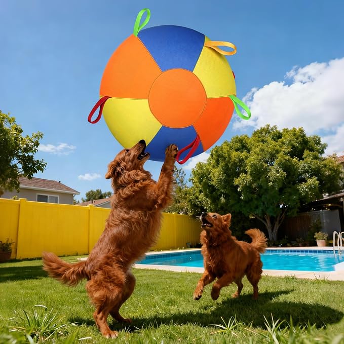 Large dog ball with handles for active outdoor play
