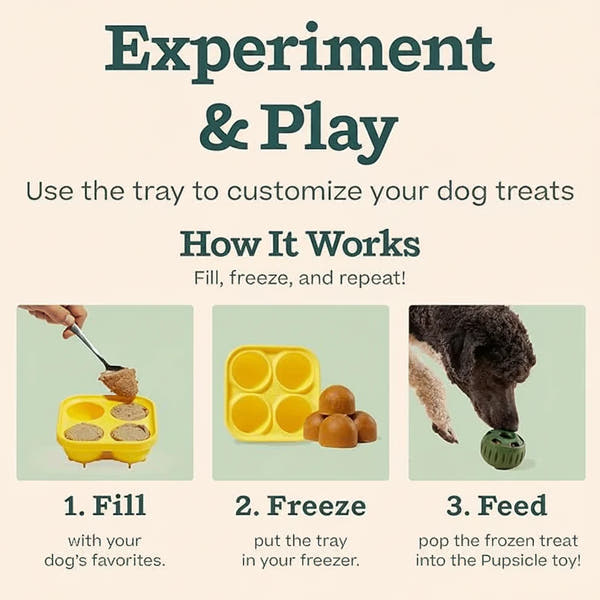 Large dog ball toy for active play and treat rewards