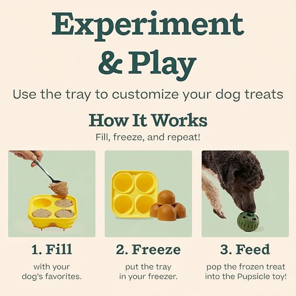 Large dog ball toy for active play and treat rewards
