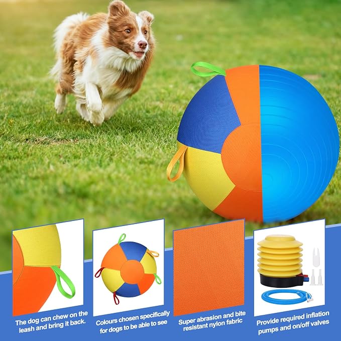 Large dog toy designed for exercise training and enrichment