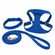 Lighted dog harness with 360 degree surround illumination for outdoor use