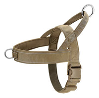 Lightweight dog harness and leash set for outdoor activities