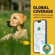 GPS dog collar designed for smartphone location monitoring
