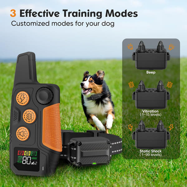 Dog training collar remote featuring Safe Lock to help reduce accidental button activation