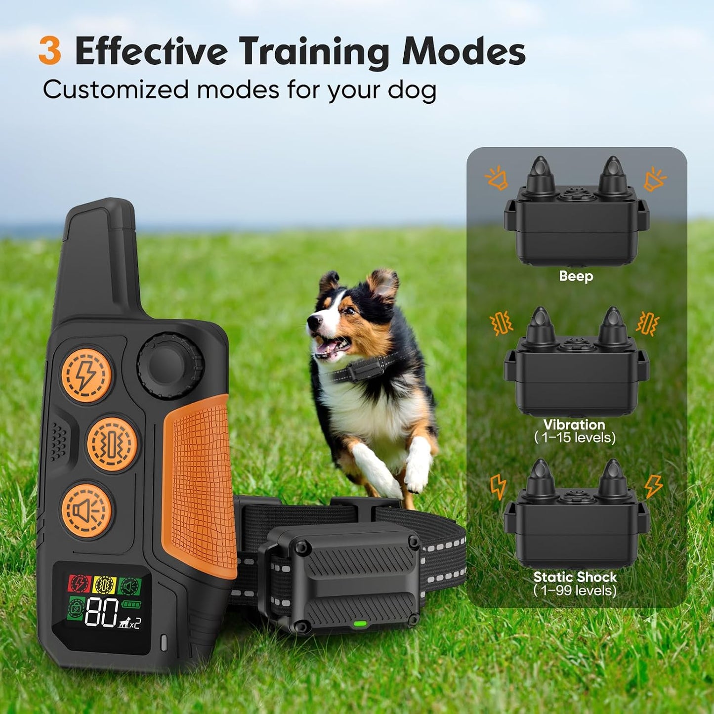 Dog training collar remote featuring Safe Lock to help reduce accidental button activation