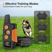 Dog training collar remote featuring Safe Lock to help reduce accidental button activation