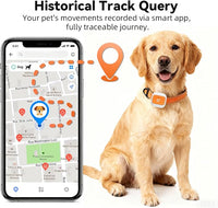 Pet GPS tracker with up to 25-day battery life for extended monitoring