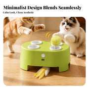 Low-noise electric cat toy for comfortable indoor play