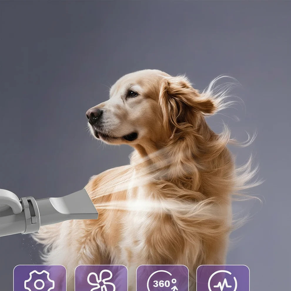 Low noise dog dryer for comfortable grooming and coat drying