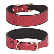 Premium embossed leather dog collar with soft padded comfort design